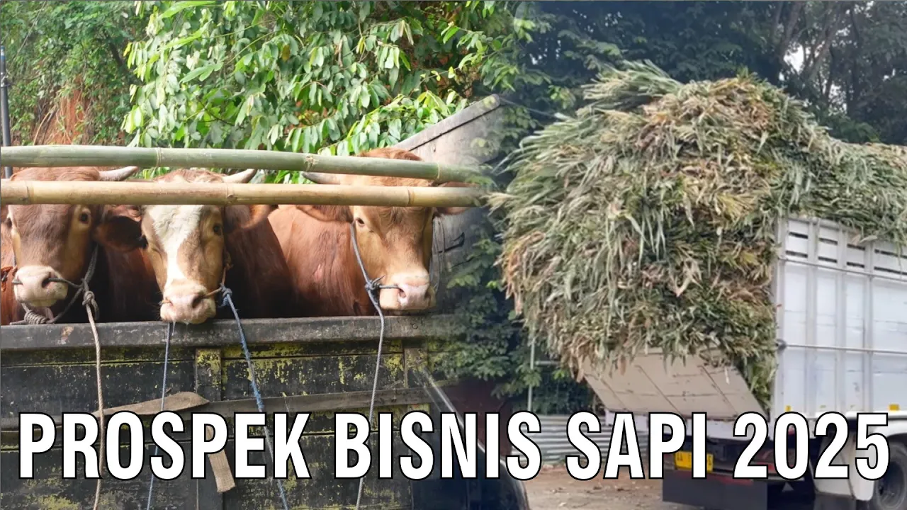 
                                 Prospek-Bisnis-Sapi-2025